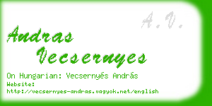 andras vecsernyes business card